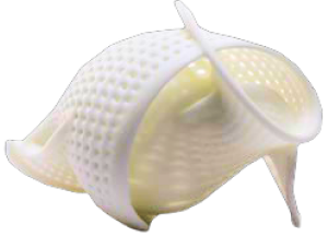 Ракушка из Formula W